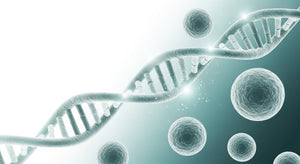 NMN And Cancer: Is NMN A Friend Or Foe?