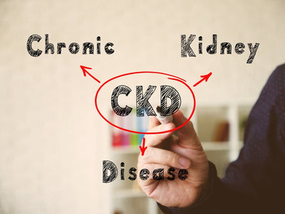 What is Chronic Kidney Disease?