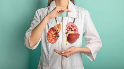 Quercetin and Kidney Health: A Multifaceted Solution for Kidneys?