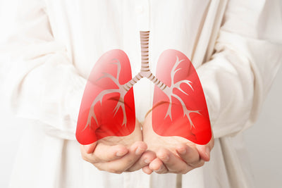 Quercetin and Lung Health: Harnessing Natural Healing Powers