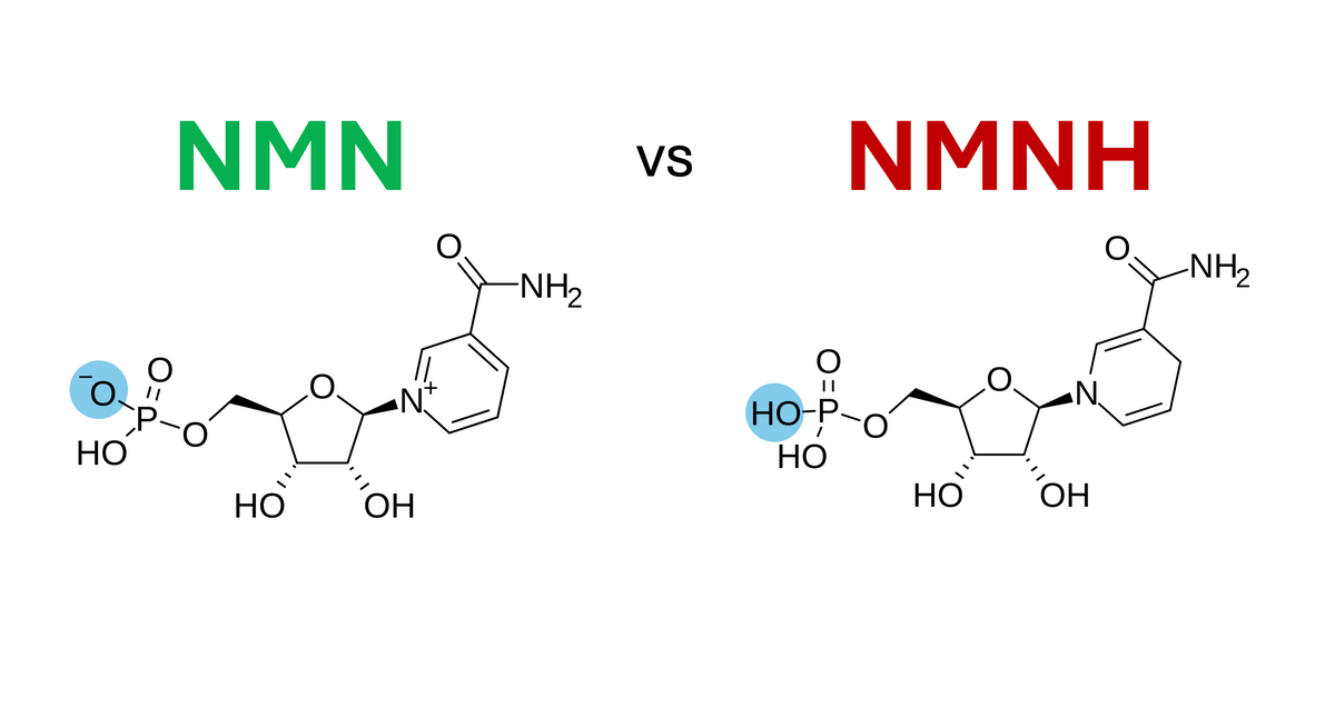 NMN vs NMNH