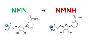 Difference Between NMN And NMNH: NMN vs NMNH