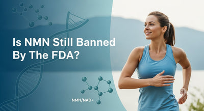 FDA Declares NMN Lawful In Dietary Supplements 2025: What You Need To Know
