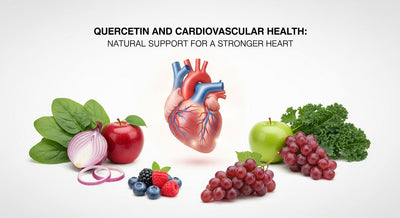 Quercetin and Cardiovascular Health: Benefits for Your Heart