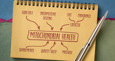 The Role of NMN in Mitochondrial Health and Energy Production